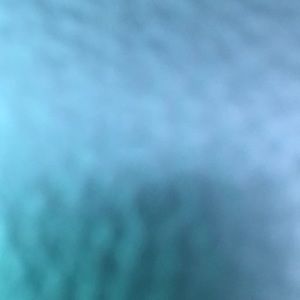 Meet your Posher, Alessandra